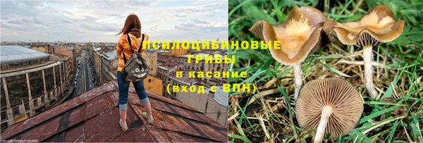 метадон Арсеньев