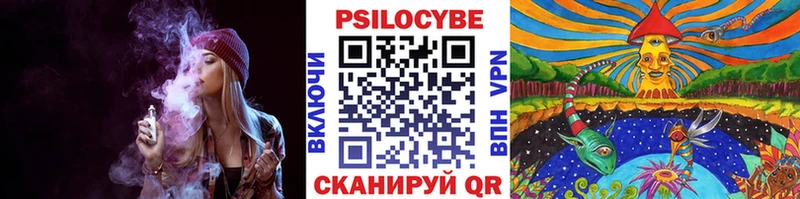 Галлюциногенные грибы Cubensis  Купить где  Щёлково 